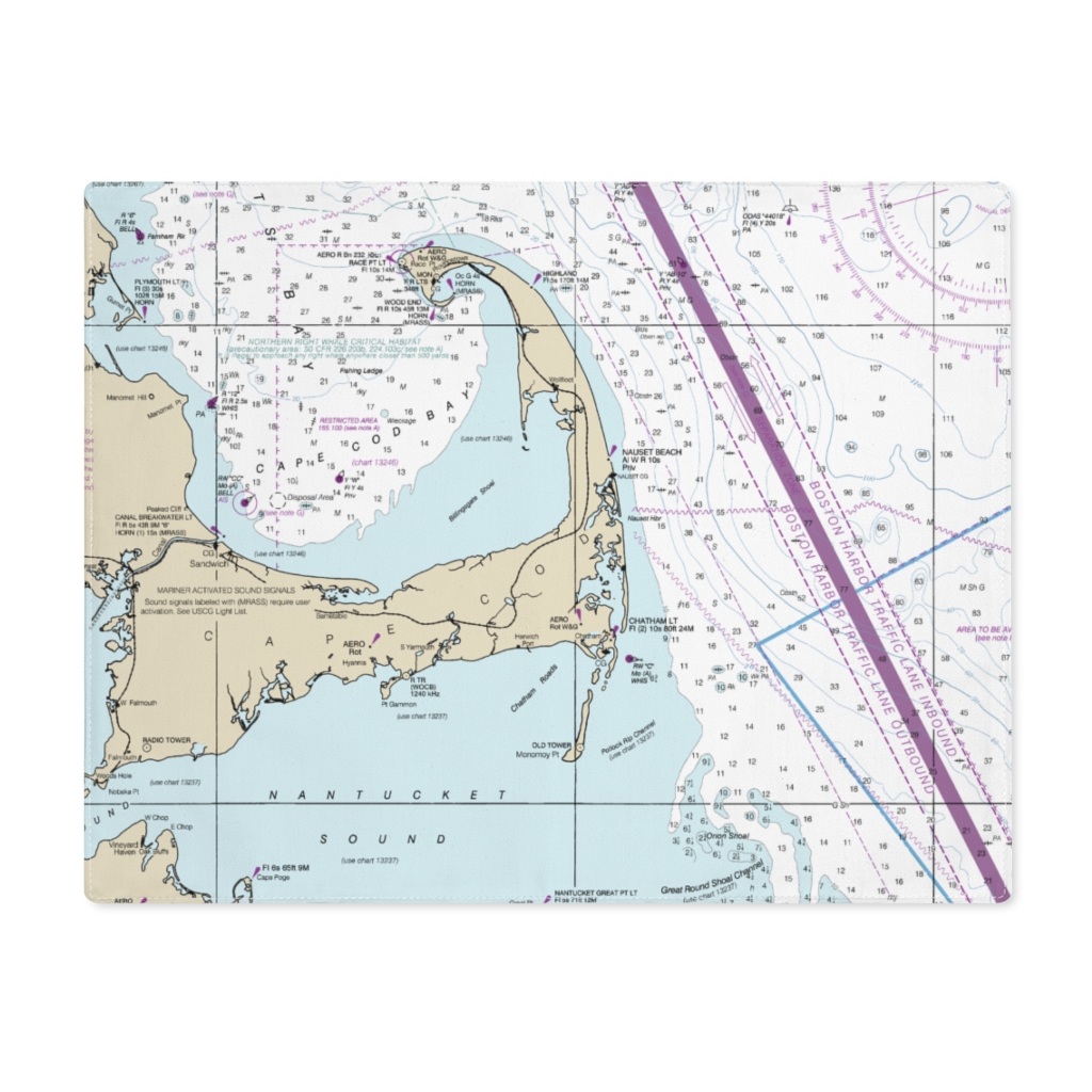 Cape Cod Nautical Chart Bath Mat Agrohortipbacid
